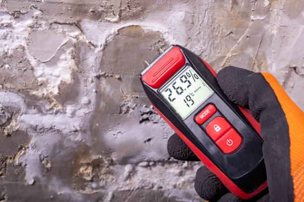 Best Mold Cleaning Services  in Mount Pleasant, SC