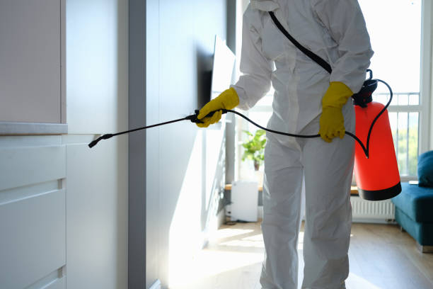 Best Professional Mold Removal  in Mount Pleasant, SC